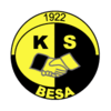 Besa Logo