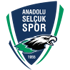 Anadolu Selcukspor Logo