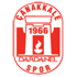 Dardanelspor Logo