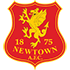 Newtown Logo