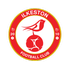 Ilkeston FC Logo