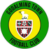 Godalming Town Logo