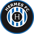 Hermes Logo