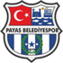 Payas Belediyespor 1975 Logo