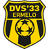 DVS 33 Logo