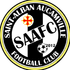 St.Albans Logo