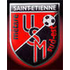 US Metare St Etienne Sud Est Logo