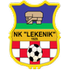 NK Lekenik Logo