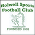 Holwell Sports Logo