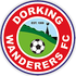 Dorking Wanderers Logo