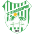 12 Bingolspor Logo