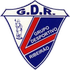 Ribeirao Logo