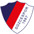 Duzcespor Logo