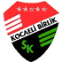 Kocaeli Birlik Spor Logo