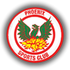 Phoenix Sports Logo