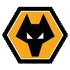 Wolverhampton Wanderers Academy Logo