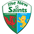 TNS Logo