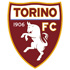 FC Turin Logo